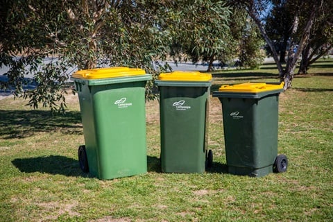 Bins-20210203-7192.jpg