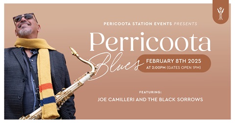PS-TheBlackSorrowa-banner