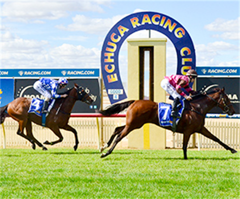 echuca-racing-club